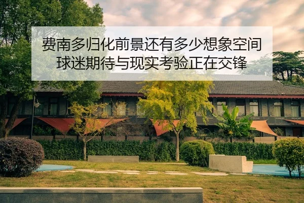 费南多归化前景还有多少想象空间 球迷期待与现实考验正在交锋