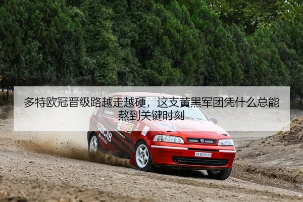 多特欧冠晋级路越走越硬，这支黄黑军团凭什么总能熬到关键时刻